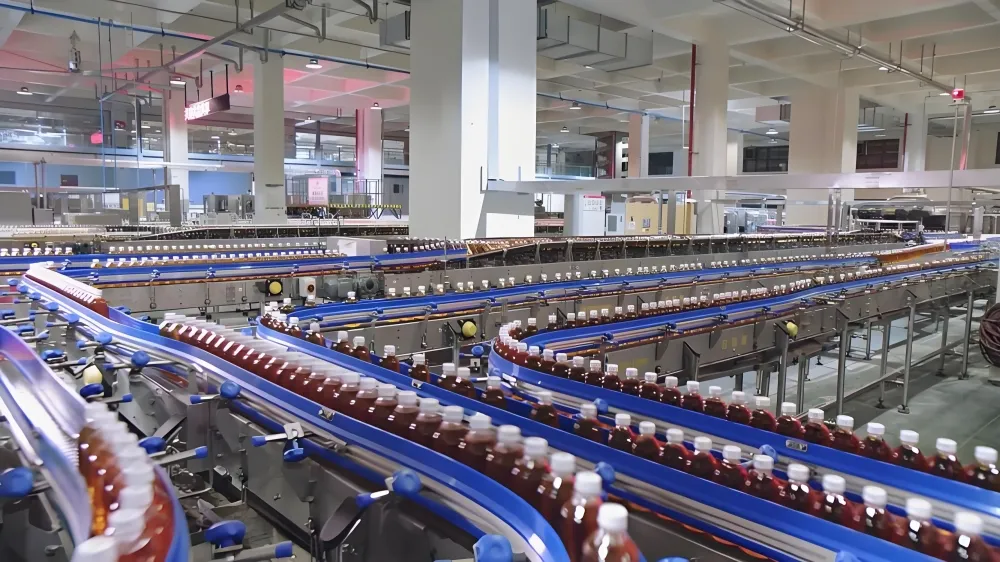 Küresel Talep İçin Enerji İçeceği Üretim Hattını Ölçeklendirmek Ne Gerekir?
