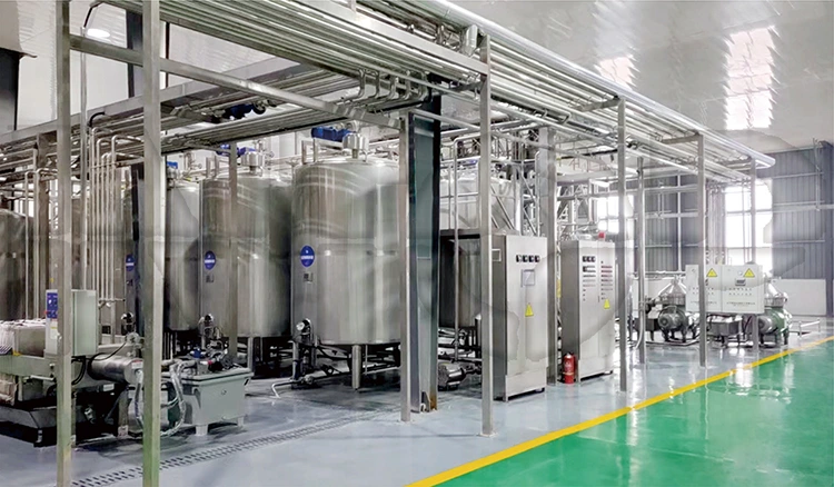 Wine Production Line