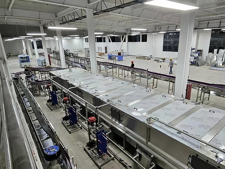 Intop'un Uganda'daki Meyve Suyu Üretim Hattının Özel Teslimatı