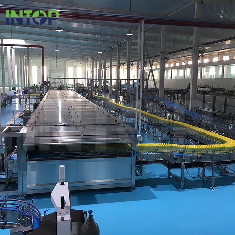 Mango Suyu Üretim Hattı