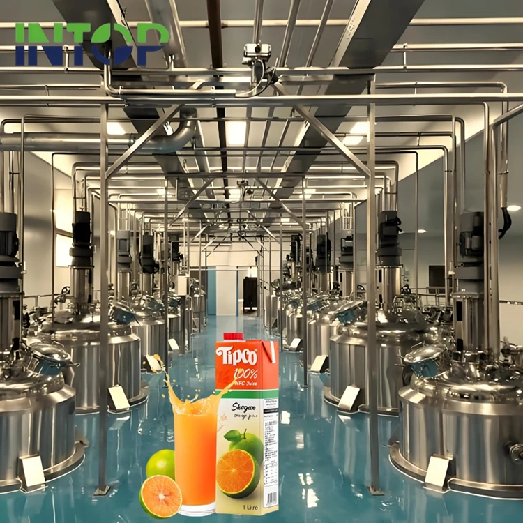 NFC Meyve Suyu Üretim Hattı