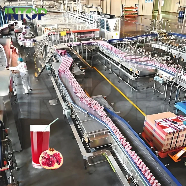 Nar Suyu Üretim Hattı